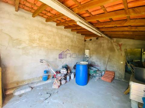 🌳 Quintinha com 6.140 m² em Louriçal do Campo – Um refúgio entre a serra e o rio! 🏞️