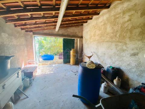 🌳 Quintinha com 6.140 m² em Louriçal do Campo – Um refúgio entre a serra e o rio! 🏞️