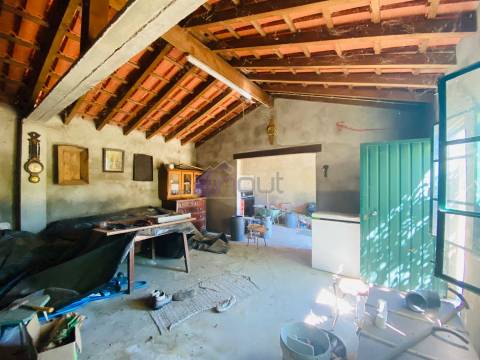 🌳 Quintinha com 6.140 m² em Louriçal do Campo – Um refúgio entre a serra e o rio! 🏞️