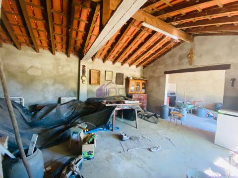 🌳 Quintinha com 6.140 m² em Louriçal do Campo – Um refúgio entre a serra e o rio! 🏞️