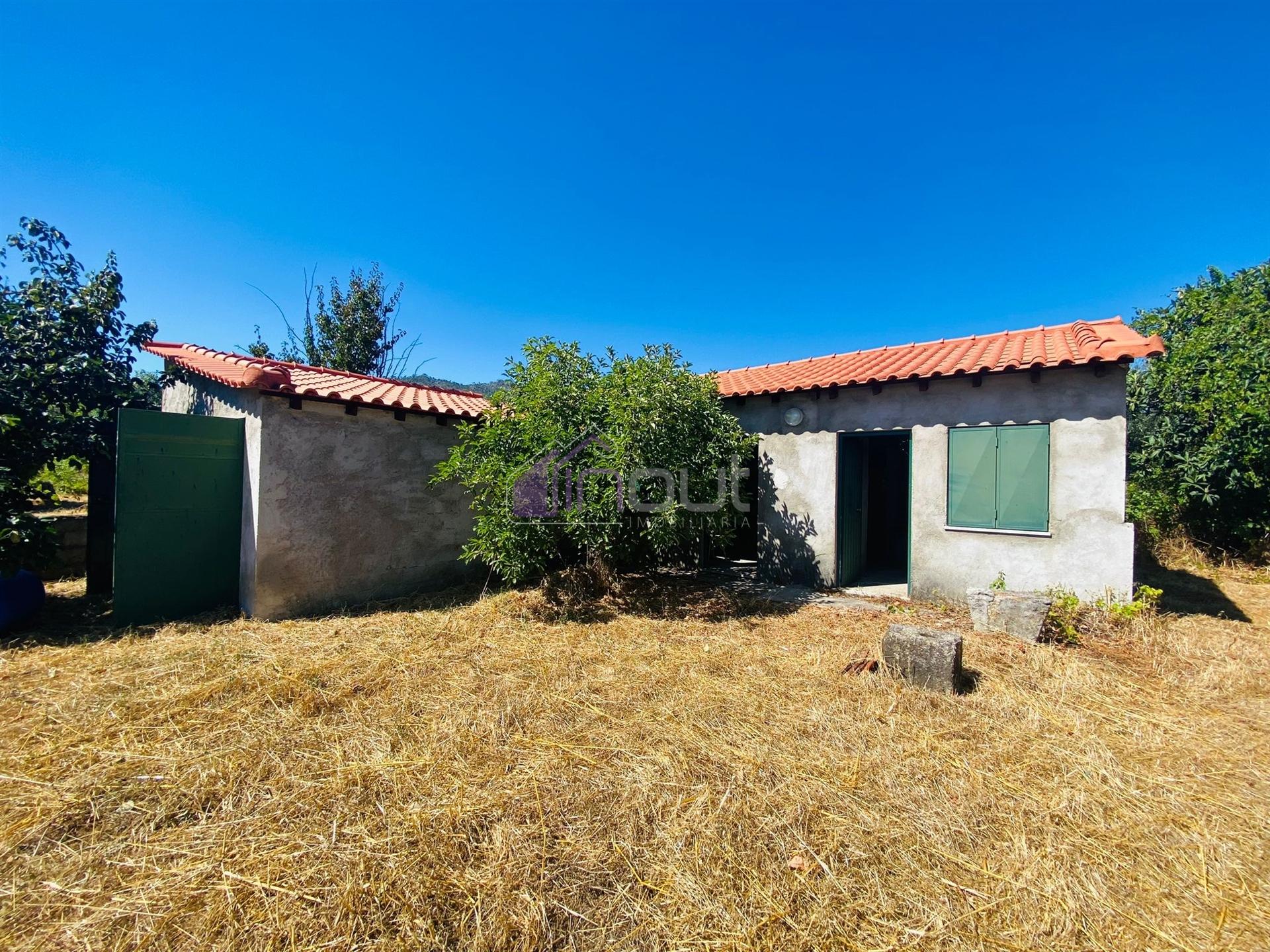 🌳 Quintinha com 6.140 m² em Louriçal do Campo – Um refúgio entre a serra e o rio! 🏞️