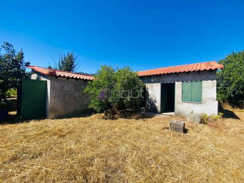 🌳 Quintinha com 6.140 m² em Louriçal do Campo – Um refúgio entre a serra e o rio! 🏞️