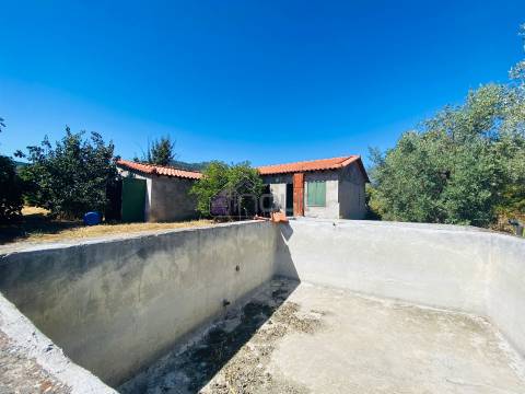 🌳 Quintinha com 6.140 m² em Louriçal do Campo – Um refúgio entre a serra e o rio! 🏞️