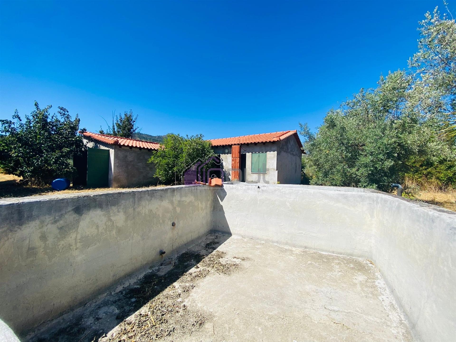 🌳 Quintinha com 6.140 m² em Louriçal do Campo – Um refúgio entre a serra e o rio! 🏞️