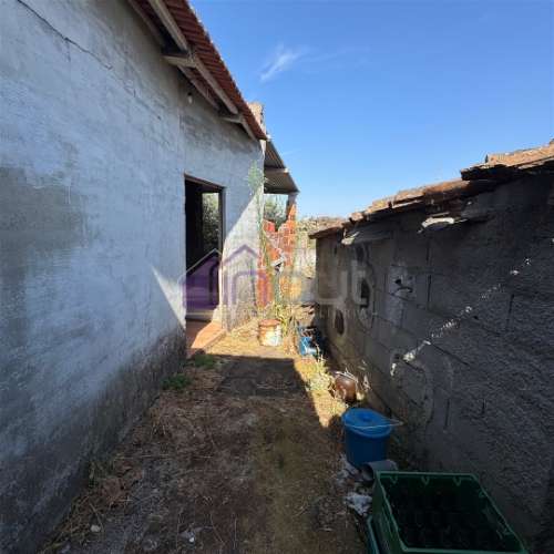 Moradia em Xisto para Restaurar com Quintal – Benquerenças, Castelo Branco | IN OUT Imobiliária