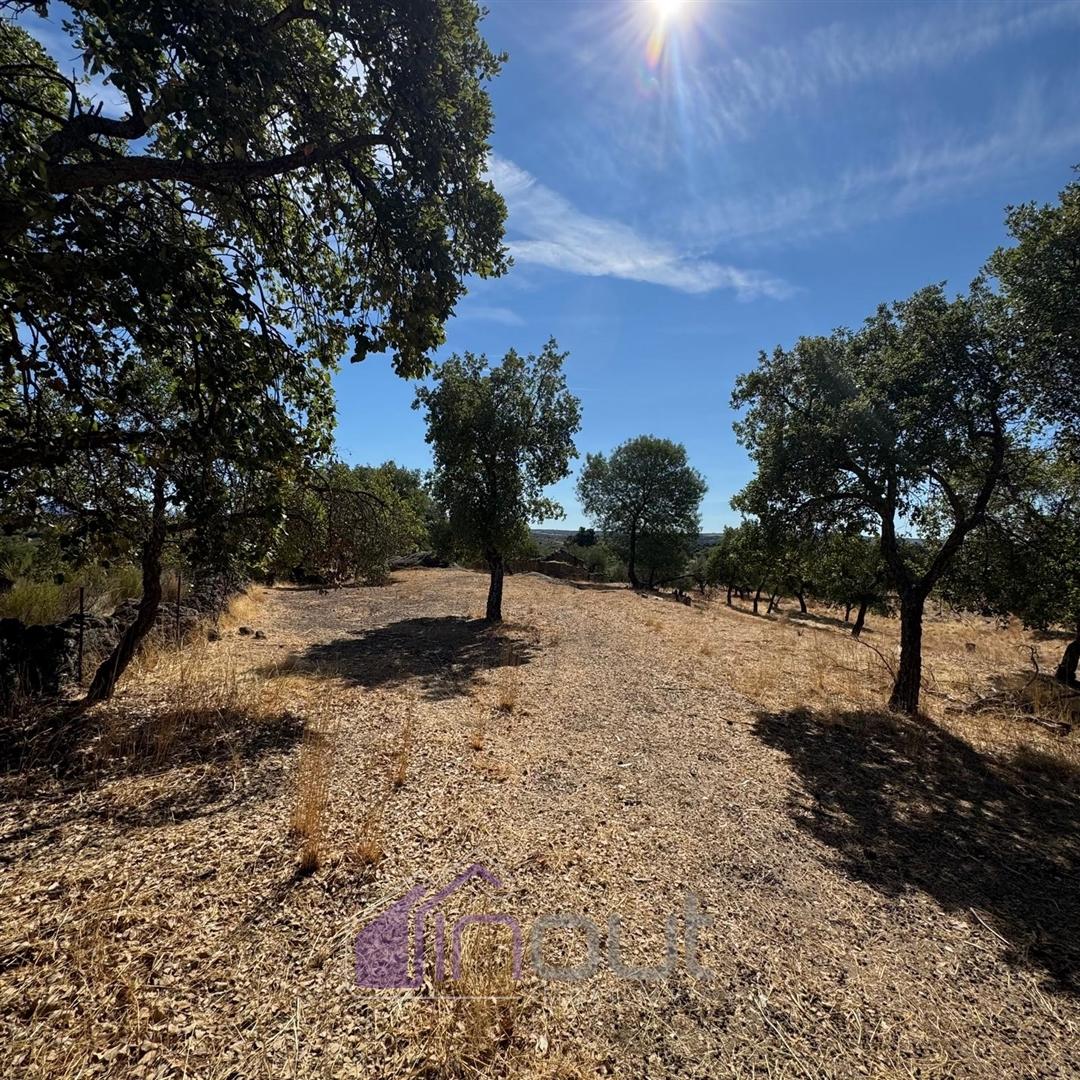 Quinta – Ruína Urbana com Potencial Único