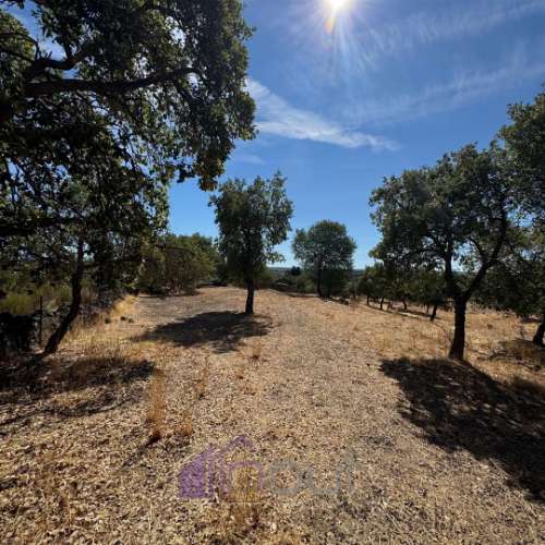 Quinta – Ruína Urbana com Potencial Único