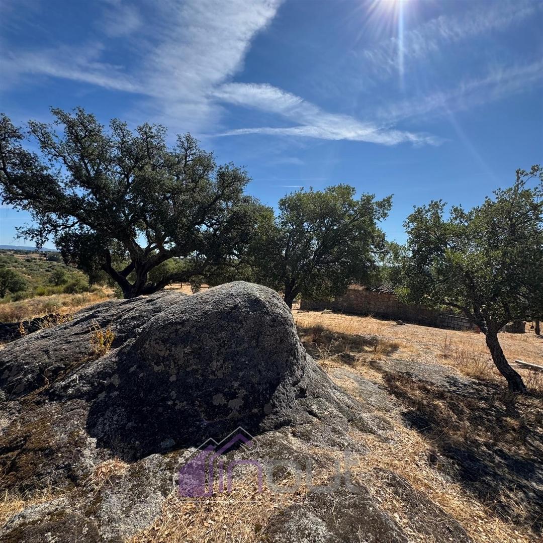 Quinta – Ruína Urbana com Potencial Único