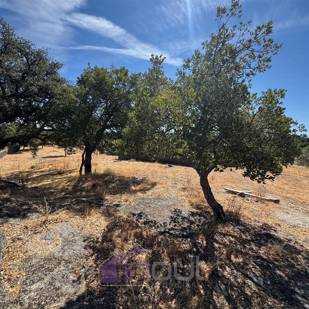 Quinta – Ruína Urbana com Potencial Único