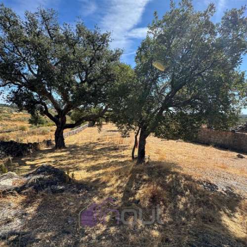 Quinta – Ruína Urbana com Potencial Único