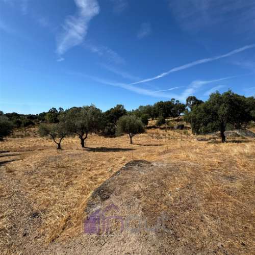 Quinta – Ruína Urbana com Potencial Único