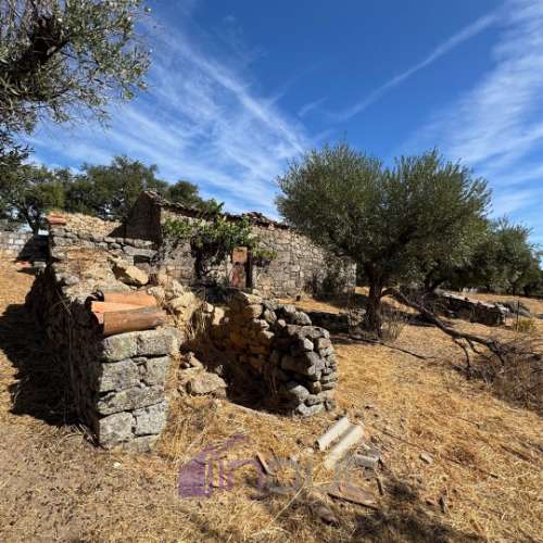 Quinta – Ruína Urbana com Potencial Único