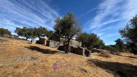 Quinta – Ruína Urbana com Potencial Único