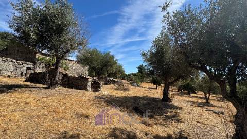 Quinta – Ruína Urbana com Potencial Único