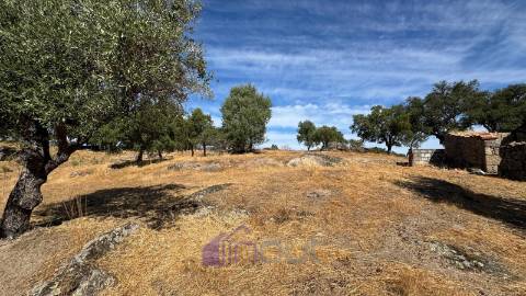 Quinta – Ruína Urbana com Potencial Único