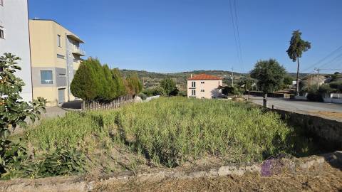 Terreno Para Construção  Venda em Pinhel,Pinhel