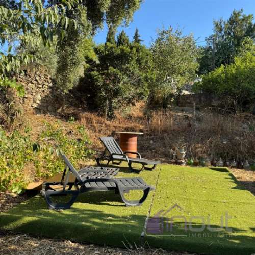 Quinta  Venda em Castelo Branco,Castelo Branco