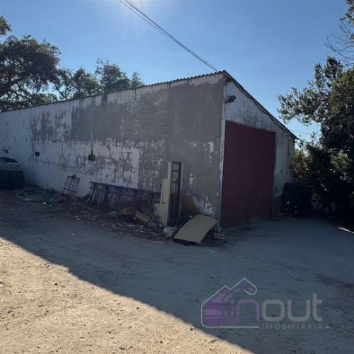 Quinta  Venda em Castelo Branco,Castelo Branco