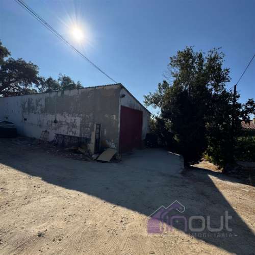 Quinta  Venda em Castelo Branco,Castelo Branco