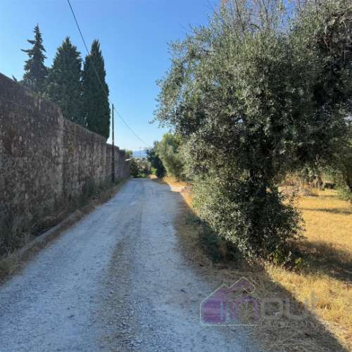 Quinta  Venda em Castelo Branco,Castelo Branco