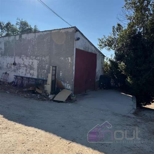 Quinta  Venda em Castelo Branco,Castelo Branco