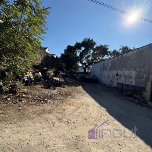 Quinta  Venda em Castelo Branco,Castelo Branco
