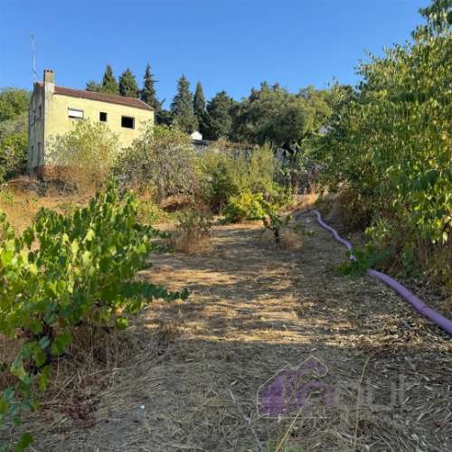 Quinta  Venda em Castelo Branco,Castelo Branco