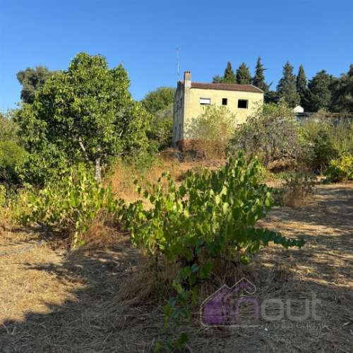 Quinta  Venda em Castelo Branco,Castelo Branco