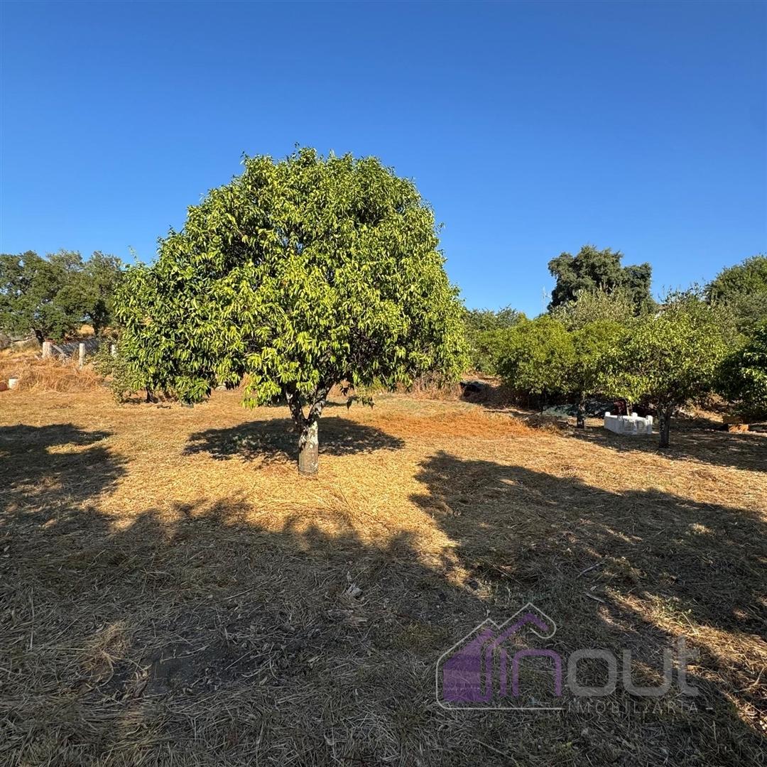 Quinta  Venda em Castelo Branco,Castelo Branco
