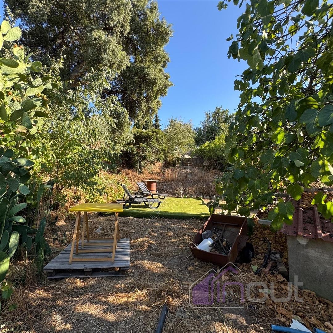 Quinta  Venda em Castelo Branco,Castelo Branco