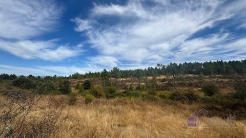 Terreno Rústico com Ruína e Construção Rural no Salgueiro do Campo – Castelo Branco