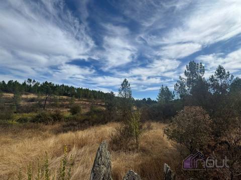 Terreno Rústico com Ruína e Construção Rural no Salgueiro do Campo – Castelo Branco