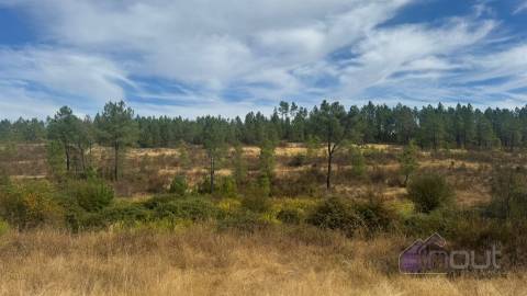 Terreno Rústico com Ruína e Construção Rural no Salgueiro do Campo – Castelo Branco