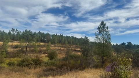 Terreno Rústico com Ruína e Construção Rural no Salgueiro do Campo – Castelo Branco