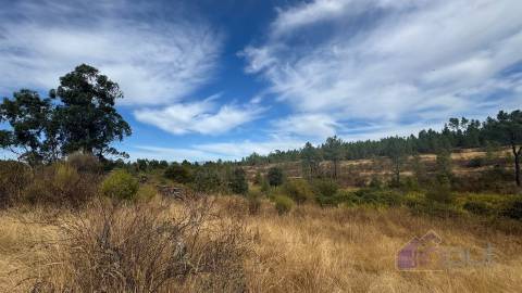 Terreno Rústico com Ruína e Construção Rural no Salgueiro do Campo – Castelo Branco