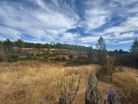 Terreno Rústico com Ruína e Construção Rural no Salgueiro do Campo – Castelo Branco