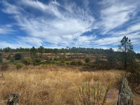 Terreno Rústico com Ruína e Construção Rural no Salgueiro do Campo – Castelo Branco