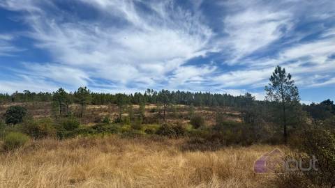 Terreno Rústico com Ruína e Construção Rural no Salgueiro do Campo – Castelo Branco