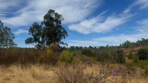 Terreno Rústico com Ruína e Construção Rural no Salgueiro do Campo – Castelo Branco