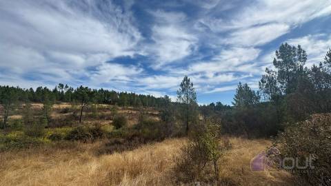 Terreno Rústico com Ruína e Construção Rural no Salgueiro do Campo – Castelo Branco