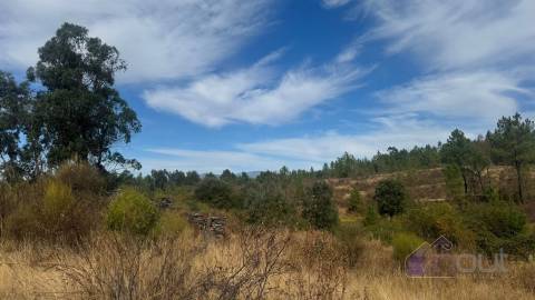Terreno Rústico com Ruína e Construção Rural no Salgueiro do Campo – Castelo Branco