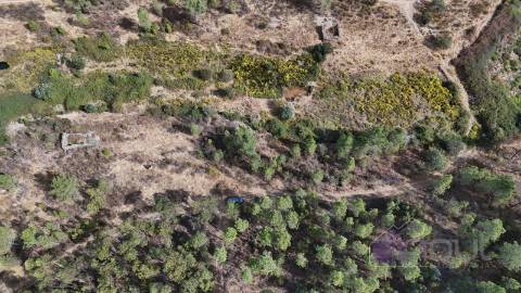 Terreno Rústico com Ruína e Construção Rural no Salgueiro do Campo – Castelo Branco