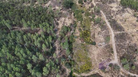 Terreno Rústico com Ruína e Construção Rural no Salgueiro do Campo – Castelo Branco