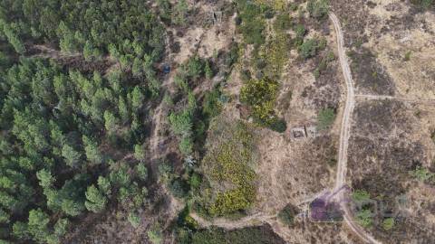 Terreno Rústico com Ruína e Construção Rural no Salgueiro do Campo – Castelo Branco