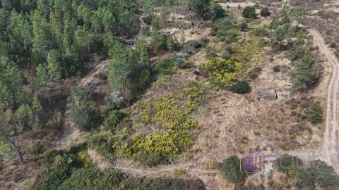 Terreno Rústico com Ruína e Construção Rural no Salgueiro do Campo – Castelo Branco