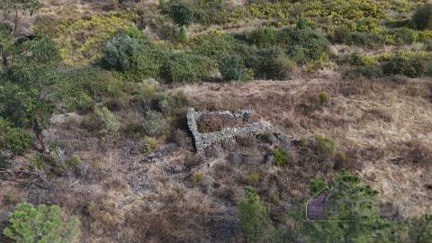 Terreno Rústico com Ruína e Construção Rural no Salgueiro do Campo – Castelo Branco