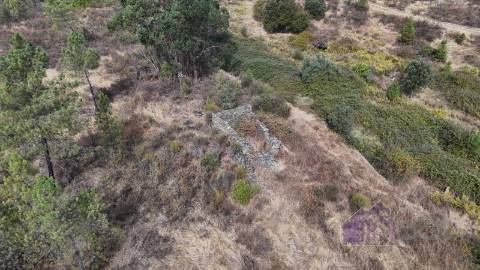 Terreno Rústico com Ruína e Construção Rural no Salgueiro do Campo – Castelo Branco