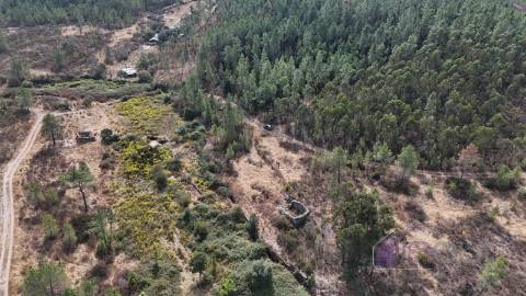 Terreno Rústico com Ruína e Construção Rural no Salgueiro do Campo – Castelo Branco