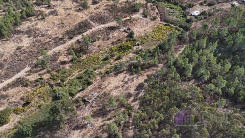 Terreno Rústico com Ruína e Construção Rural no Salgueiro do Campo – Castelo Branco