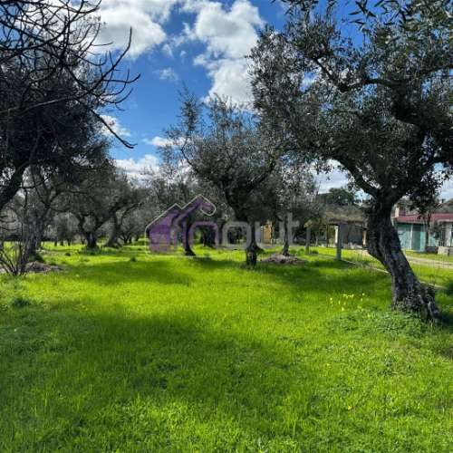 Terreno Rústico  Venda em Póvoa de Rio de Moinhos e Cafede,Castelo Branco